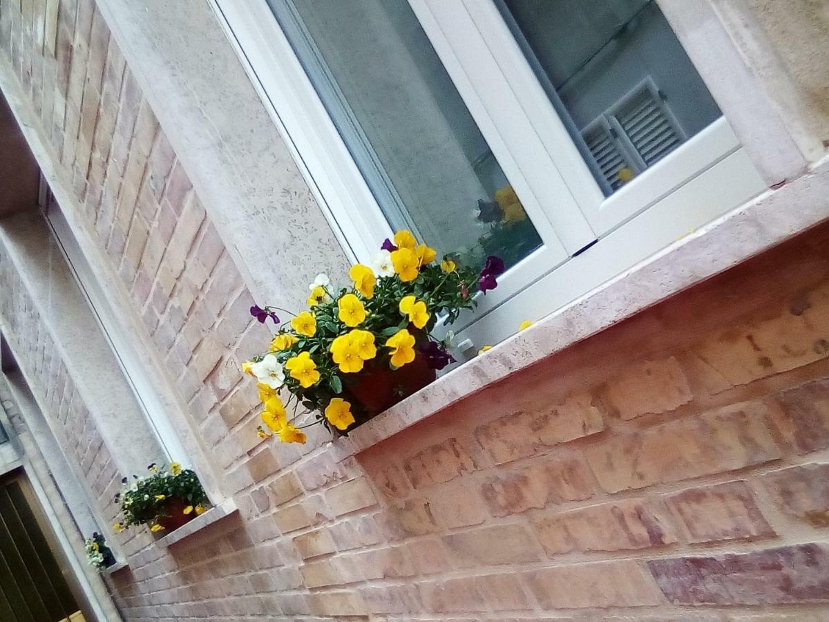 Officina Urban Sleep Bed and Breakfast San Benedetto del Tronto Eksteriør billede